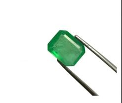 0B54649E 0D17 4FC1 93D2 F7A0D6CC9FA7