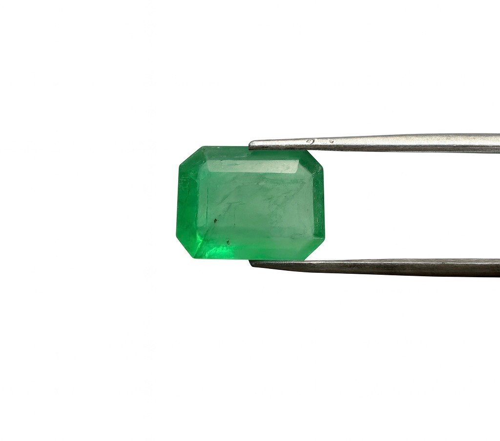 1B09A3AF 5AC5 4CF3 A9C8 DCB59E318DC3