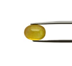 381EB09B 3331 42FE B6F8 E154A5C63D21