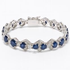 48C89E65 9C0C 40D0 A2BB 77C5439F72D4