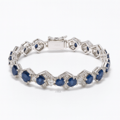 48C89E65 9C0C 40D0 A2BB 77C5439F72D4