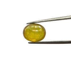 69A4E328 3C94 4422 8F23 32CE67578DFC