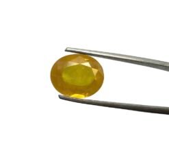 6E84A428 98C0 4BFB 9AE7 6F1F1649605A