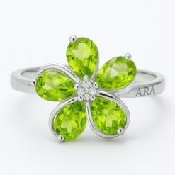 75D212A9 8D62 4FEF B56F 0E0EE3C23D67