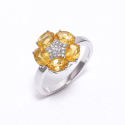 D1CCB253 2700 4D6D 9316 A567C5C2A556