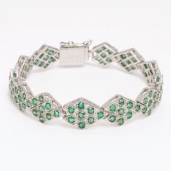 DE20F4AC 7A31 4C39 9DFB 148A1E43B7A2