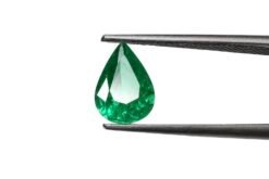 F9E5AA97 EB7B 4ACD A5F5 AC50487F04E5