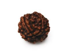 1224D28F 69BB 43F1 AE1B FEABFA090F0C