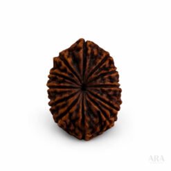 24BF820E 9872 40F3 93F9 7F0390495D92