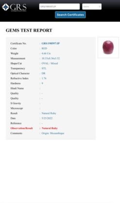 3bd8ef56 4f27 4d61 a4aa 38f396cf929d