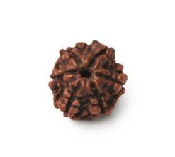 48E4567B 47D7 44F3 8AC4 C3D36A8E5082