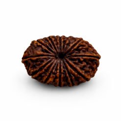 491DB005 393C 428E B4A9 047BFCAB1FFC