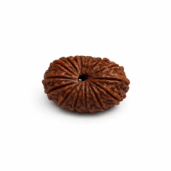 538733CF 0CFF 41C9 BA43 AD3745264B4E