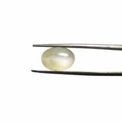 7270B397 E5CC 41E9 AFFE C9DAA523279D