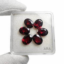 AC1CAF42 CD1B 4F0A A009 C23EB9651F61