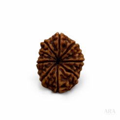 BA38A33B ECD7 4300 8C71 CA8CC1149F53