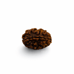 C3B7DE3B 7E30 4DEA A88A 1D34924AE5E0