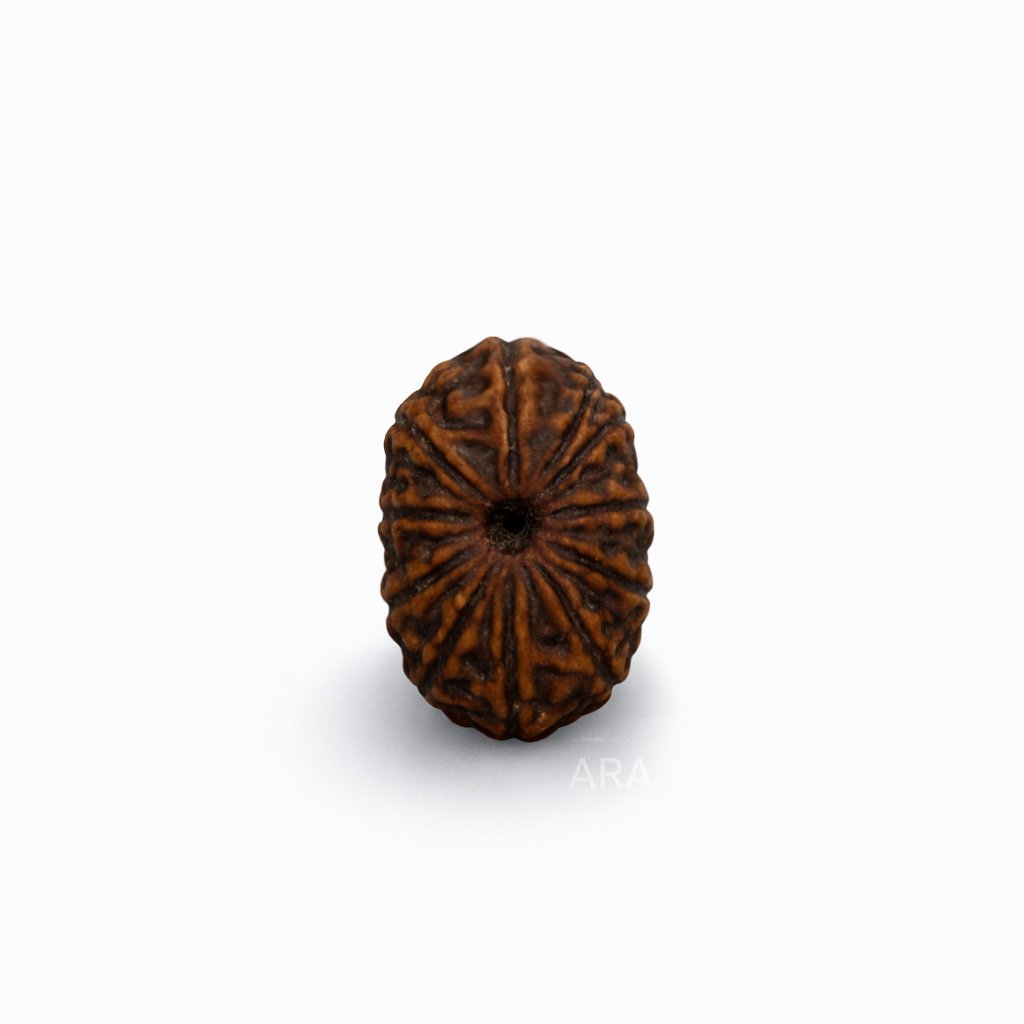 CA374BC7 01DA 4458 9CF4 5AC584653046