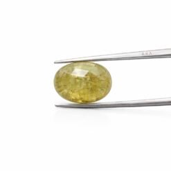 0575E0EE 6298 4685 85A0 9146315CEF5D